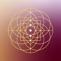 MAA Consciousness